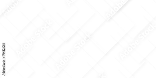 Modern Abstract white background design with layers of textured white transparent material in triangle and squares shapes. White color technology concept geometric line vector background.
