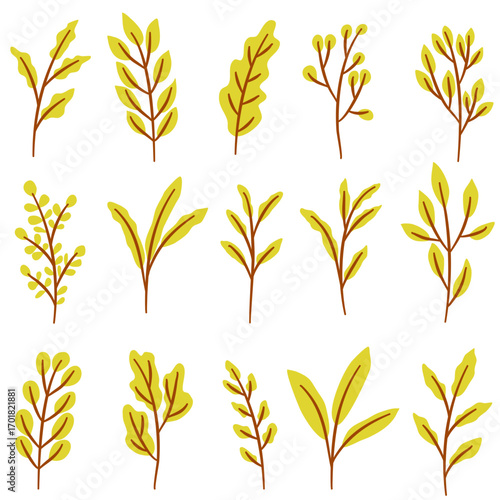 Green Foliage Leaves Vector Set