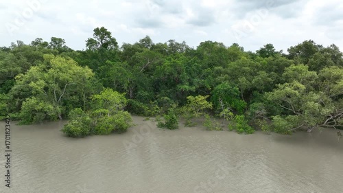 Mangrove Trees Submerged During High Tide in the Sundarbans – 4K smoot Aerial View
