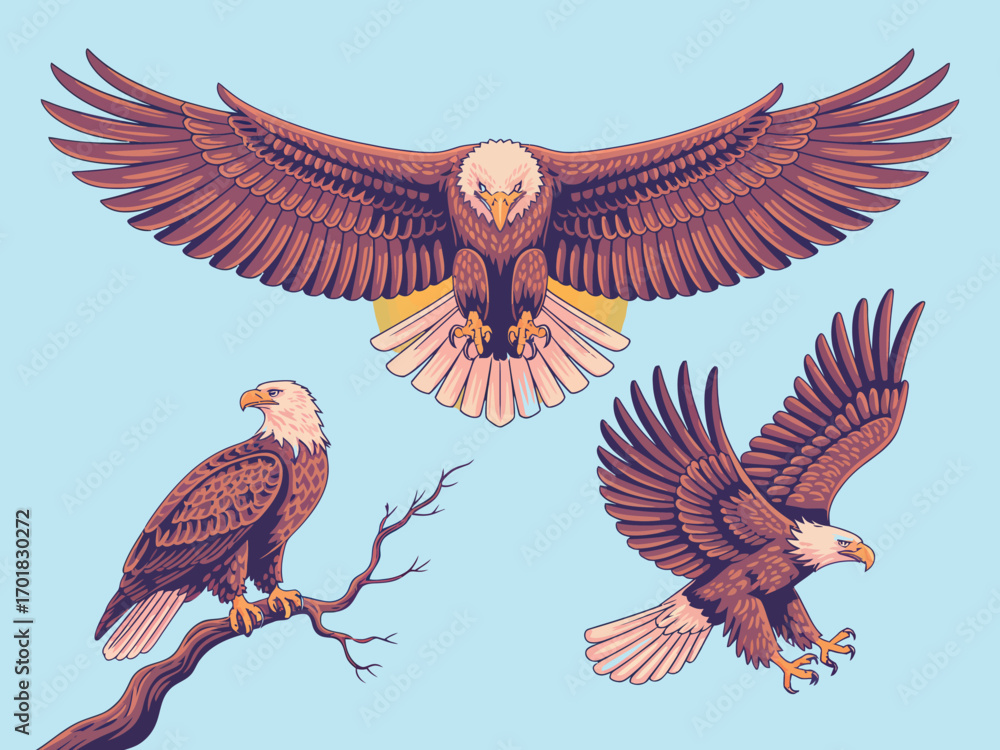 Naklejka premium Three bald eagles in different poses with wings spread on a light blue background illustration