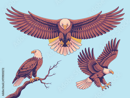 Three bald eagles in different poses with wings spread on a light blue background illustration