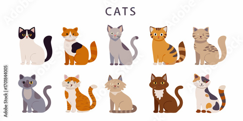 Collection of diverse cute cartoon cats sitting and posing in different colors and patterns