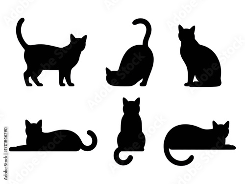 Collection of six black cat silhouettes in various poses on white background on transparent background