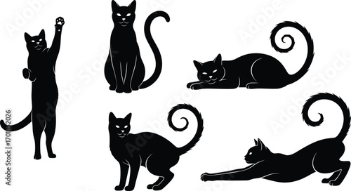 Black cat silhouettes, playful feline poses, standing sitting stretching, curled tail icons, animal behavior vector, artistic pet illustration set