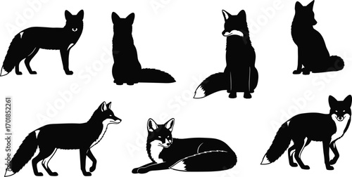Fox silhouette set, various poses, sitting, standing, lying down, black vector, wildlife icon, nature graphic, animal design, isolated, elegant