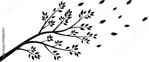 Tree branch silhouette, blowing leaves, wind motion, nature vector, minimal design, black graphic, elegant foliage, isolated, abstract, seasonal art