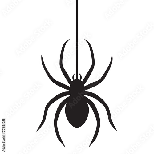 spider's eight legs are splayed outwards