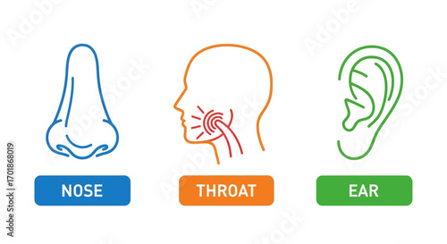 Understanding Common Issues Affecting the Nose Throat and Ear Health and Well-being