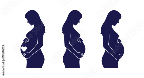 Stages of Pregnancy Illustrated Showing a Pregnant Woman's Belly Growth Over Time Through Different Trimesters