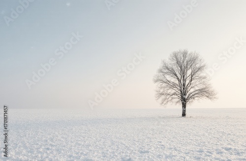 Lonely tree in snowy winter landscape under soft sky