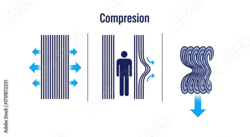 Understanding the Behavior of Fibers Under Compression and Tension Demonstrating Material Deformation Properties
