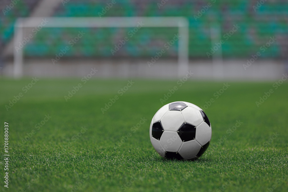 Fototapeta premium Soccer ball sits on a well-manicured field, ready for players to engage in an exciting match.