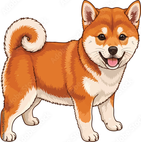 Vector, illustration, shiba inu dog with a cute and kawaii face, poster, background