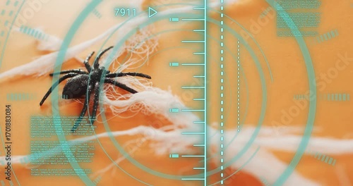 Macro camera opening on spider perching on fibrous strands while HUD scanning and measuring motion