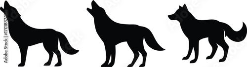 wolf, wolves, wolf silhouette, wolf pack, howling wolf, black wolf, grey wolf
