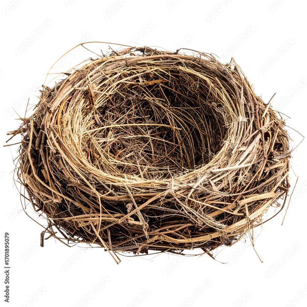 Obraz premium PNG Natural bird nest isolated background 