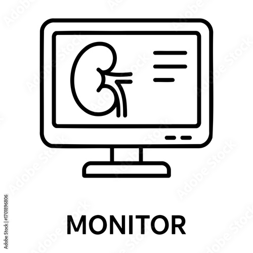 Computer monitor displaying a kidney image and text lines in a medical examination view