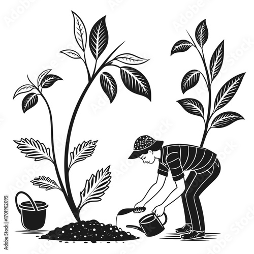 Person in a hat watering a newly planted seedling with a watering can and bucket nearby