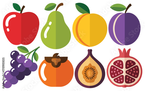 Collection of colorful fresh fruits arranged in two rows on a white background