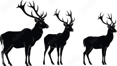 Deer silhouette vector, wildlife illustration, three antlered deer in row, black animal shapes, forest nature art, isolated on white background