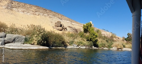 Scenic Riverbank on the Nile River, Aswan, A peaceful view from a boat on the Nile River, showing a lush, green riverbank contrasting with a barren, rocky hillside in the background.