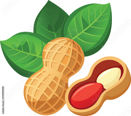 Two peanuts one whole and one split showing red and white kernels with green leaves legume food