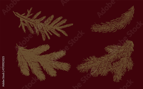 Spruce branches on red