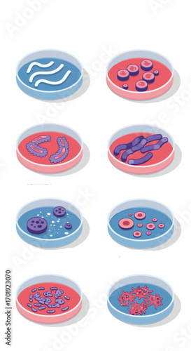 Visualizing diverse microorganism cultures growing in petri dishes demonstrating biological research and scientific experimentation