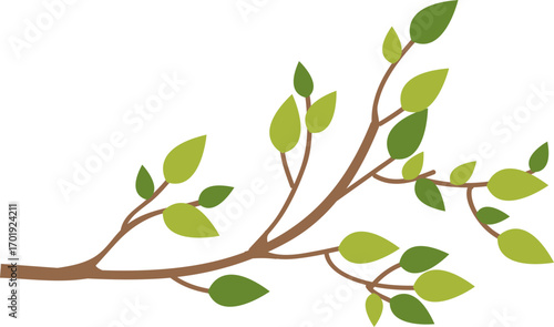 Tree Branch with Leaves 