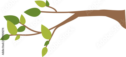 Tree Branch with Leaves 