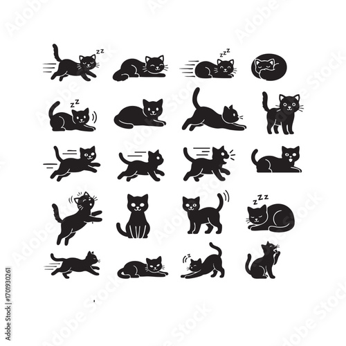 Vector black silhouette set of cats