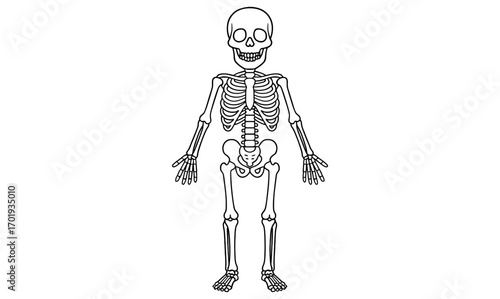 Simple skeleton coloring page for kids and educational fun