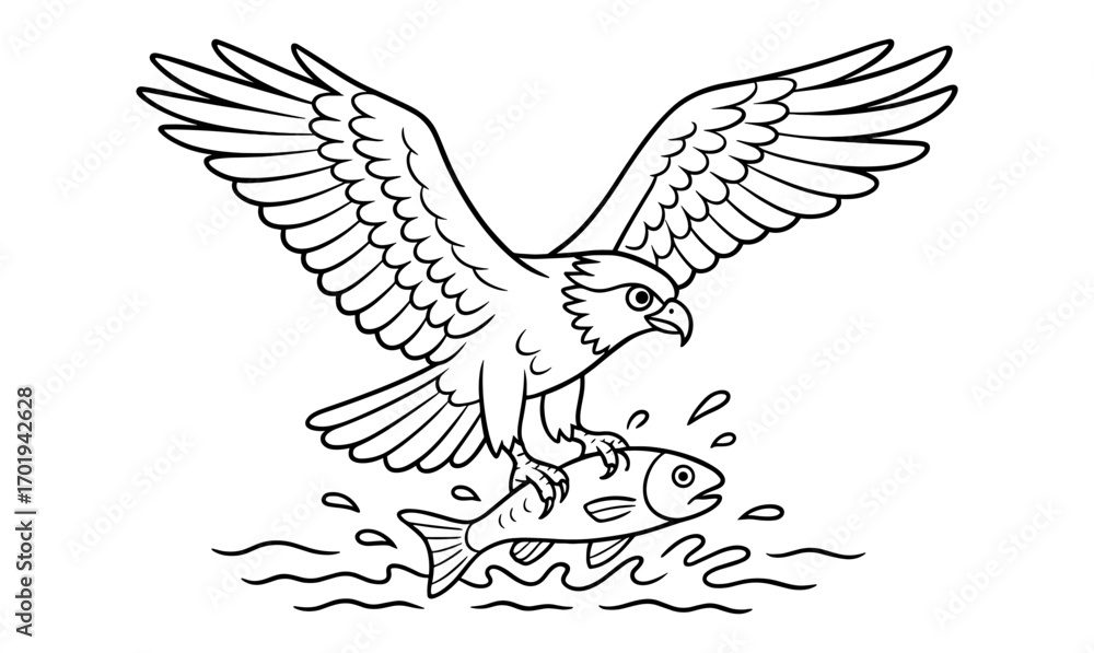 Obraz premium Osprey fishing scene sketch with simplistic line art for nature and wildlife design projects