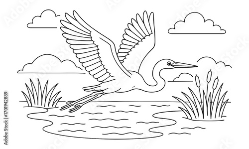 Elegant egret flying over serene lagoon with reeds and clouds - ideal for coloring book design
