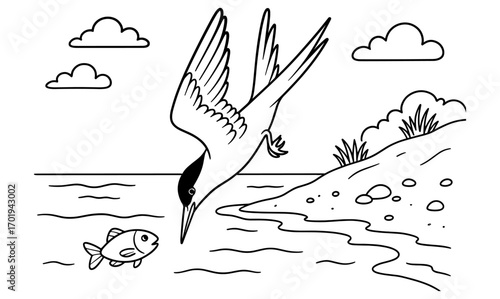 Tern diving for fish in ocean scene with clouds and shoreline for nature illustration