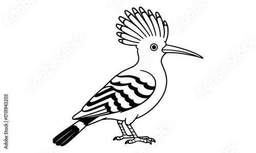 Hoopoe bird coloring page for kids and adults - simple line art for mindful relaxation