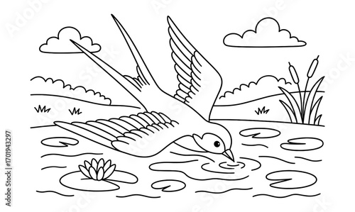Swallow in flight over serene pond landscape - nature illustration for coloring and design projects