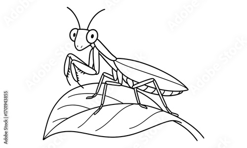 Praying mantis coloring page for kids - fun educational insect activity design