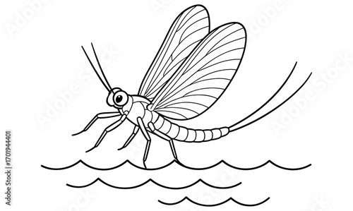 Mayfly coloring page for kids and adults, nature insect design for relaxation and creativity