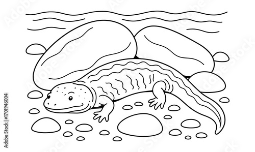 Hellbender salamander under stones illustration for educational and wildlife themes