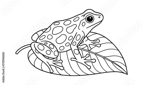 black and white frog on leaf clip art preview