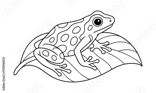 black and white frog on leaf clip art preview