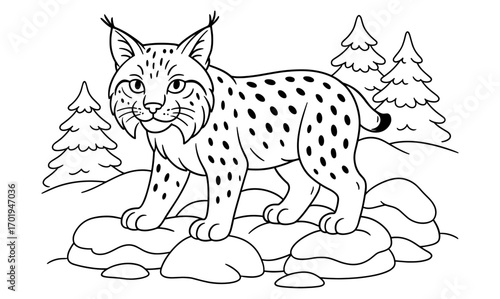 Winter lynx illustration on snowy rocks for wildlife art and nature-themed designs
