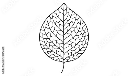 Leaf vein pattern design for nature-inspired prints and crafts