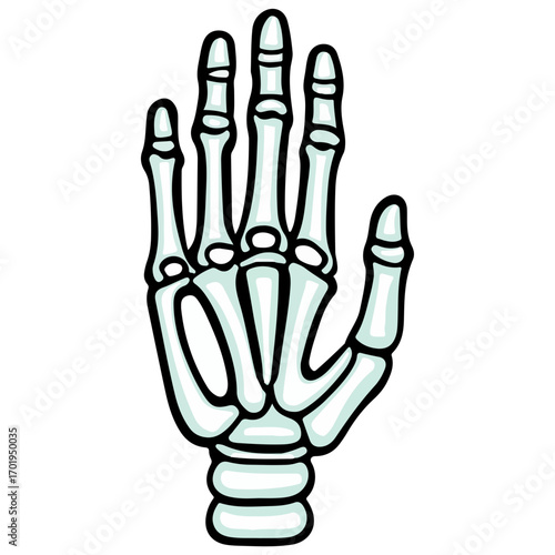 skeleton hand, costume, halloween, festival, vector, transparent background, decoration, hand, isolated, skeleton, bones, mannequin, model, figurine, medical, x-ray, bone, icon