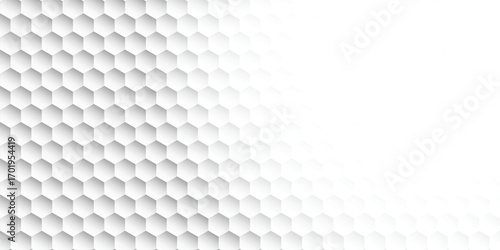 White Honeycomb Template with Right Center Space
