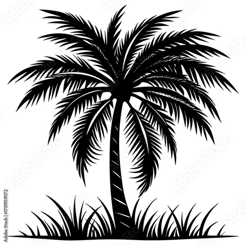 palm tree silhouette
