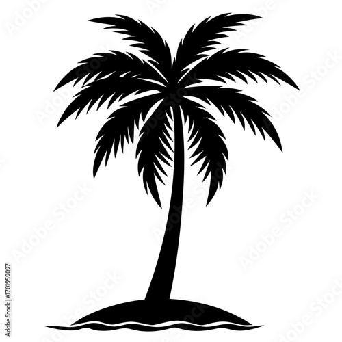 palm tree silhouette