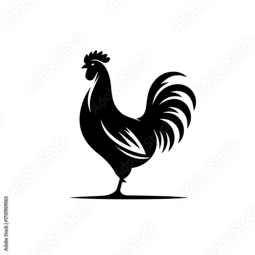 Beautiful Hen Vector Illustration – Rural Poultry Design