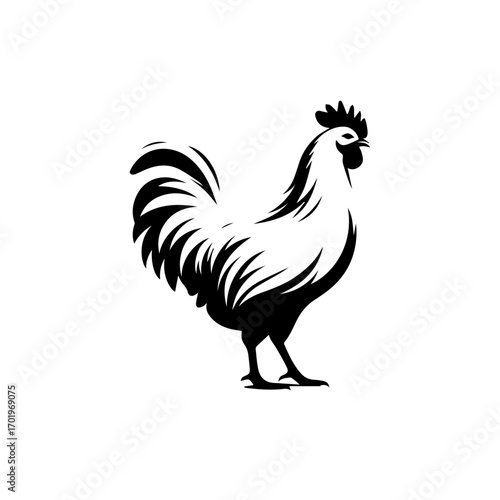 Detailed Hen Vector Illustration – Domestic Poultry Design